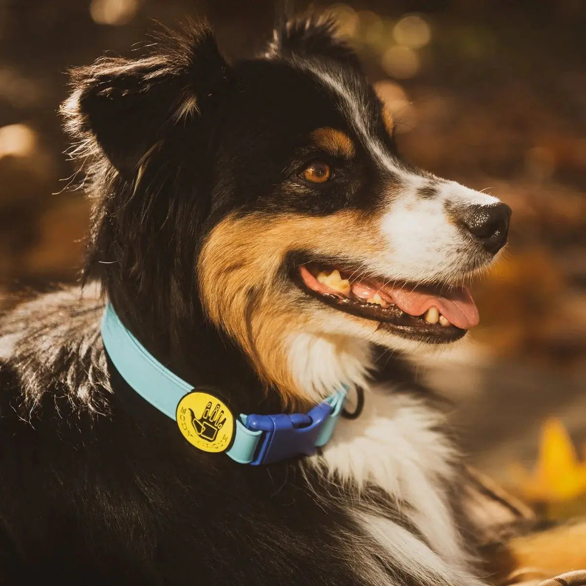 Dog Collar Body Glove Biothane Waterproof Durable 🎯