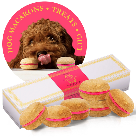 Luxury Dog Treats for Special Occasions by Purrfect Pet Kingdom Rose Purrfect Pet Kingdom