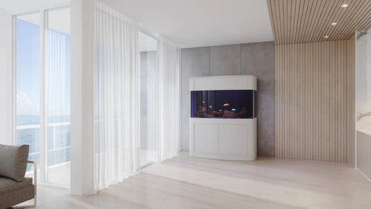 Display Model | 215g Seamless Glass Bowfront Reef-Ready Aquarium Set in Abyss Black