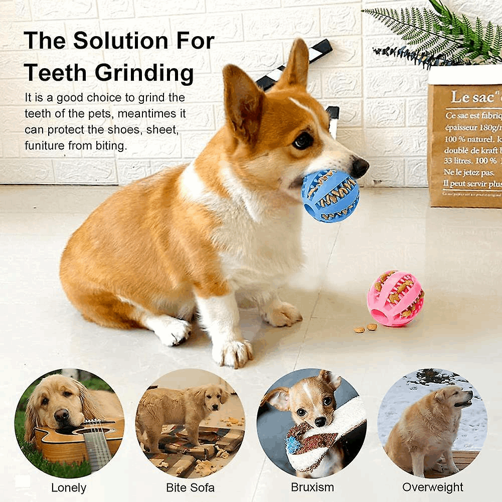 Dog Treat Toy Ball, Dog Tooth Cleaning Toy, Interactive toys