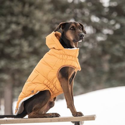 Purrfect Pet Kingdom Warm Parka for Pets with Hood Purrfect Pet Kingdom