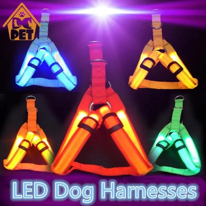 Bright Night Pet LED Harness 💡 - Purrfect Pet Kingdom