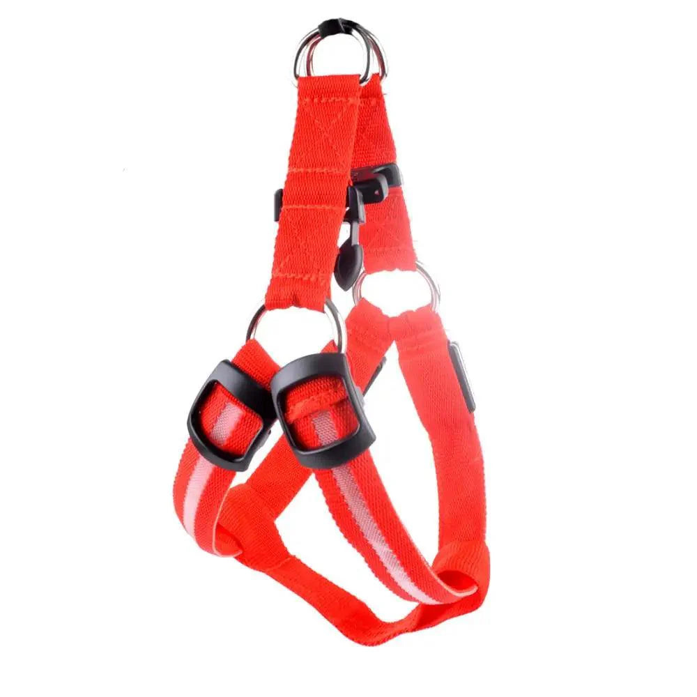 Bright Night Pet LED Harness 💡