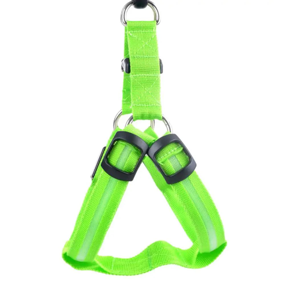 Bright Night Pet LED Harness 💡 - Purrfect Pet Kingdom