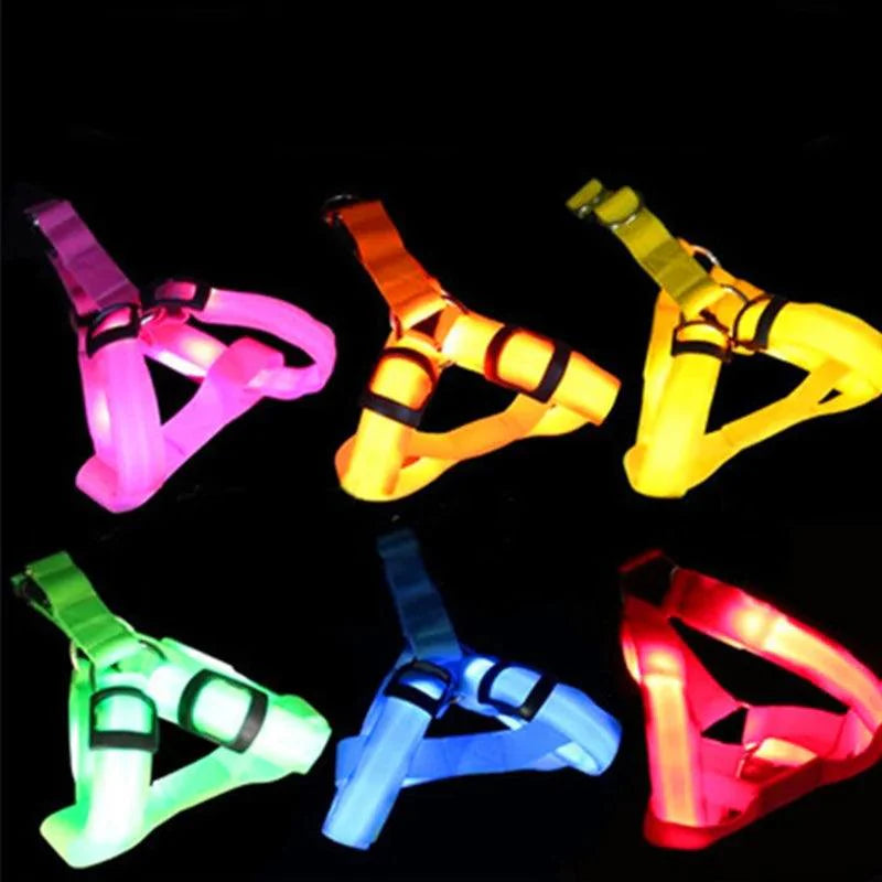 Bright Night Pet LED Harness 💡