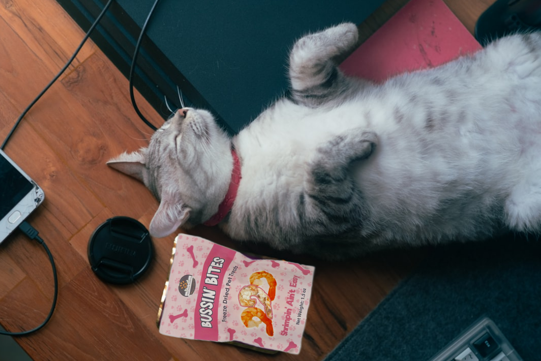 A cat lying on its back next to freeze dried shrimp treats for cats and dogs by The Dog Bodega