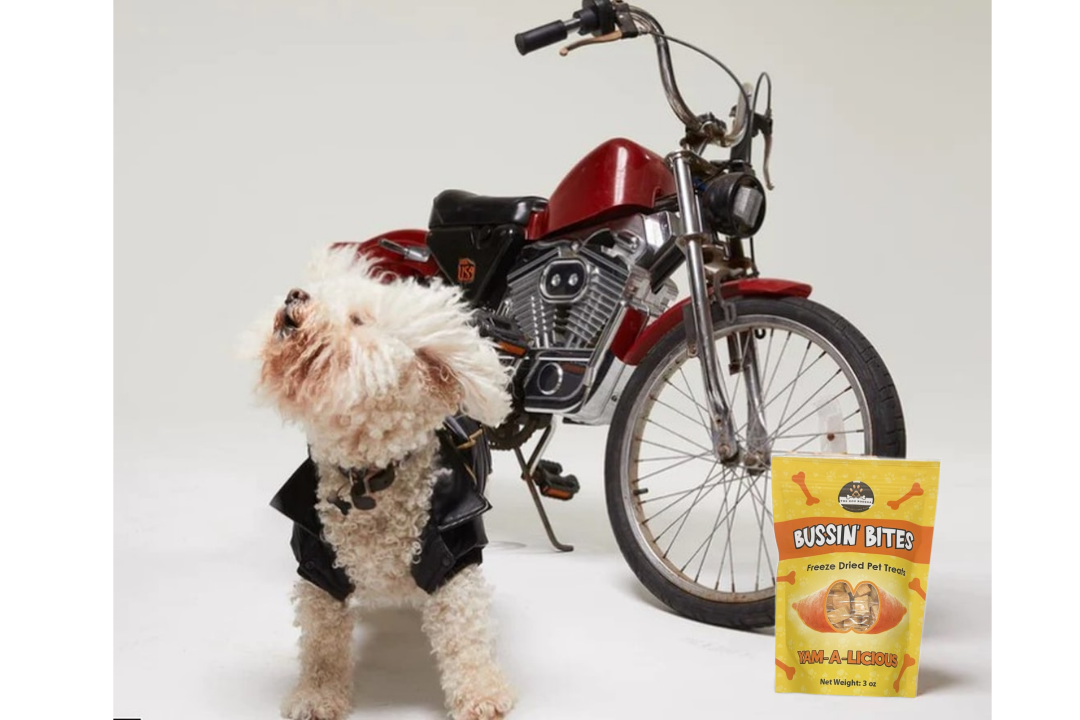 The Dog Bodega freeze dried sweet potato dog treats with a stylish dog and motorcycle backdrop