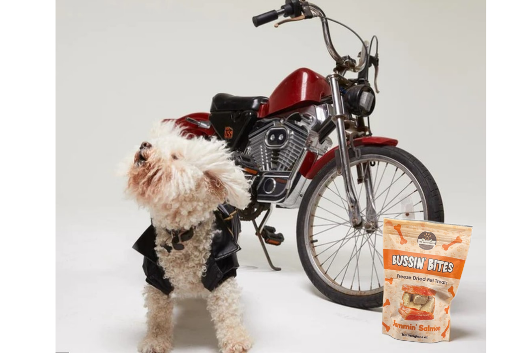 The Dog Bodega high protein natural dog training snacks with a dog in a leather jacket next to a motorcycle