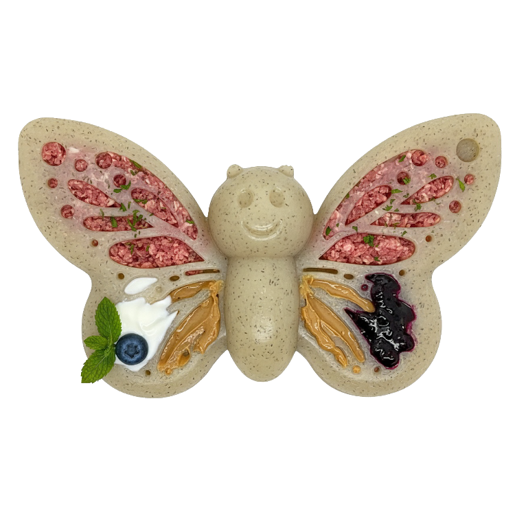 Butterfly Nylon Chew & Enrichment Toy | 2-in-1 for Aggressive