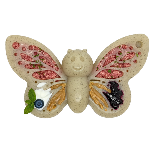 Butterfly Nylon Chew & Enrichment Toy | 2-in-1 for Aggressive