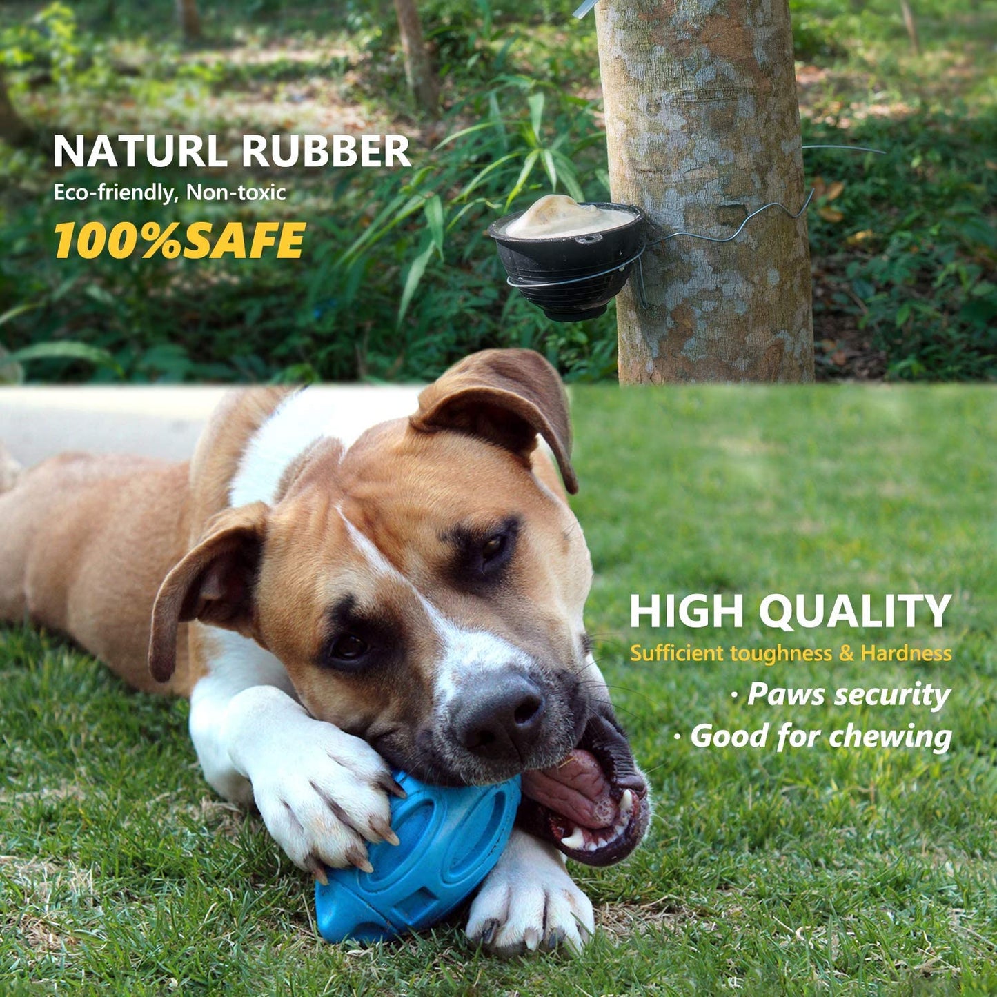 Pet Supplies Dog Toys Rubber Sounding Rugby Wear-Resistant