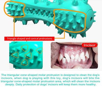 Dog Teeth Cleaning Chew Toy