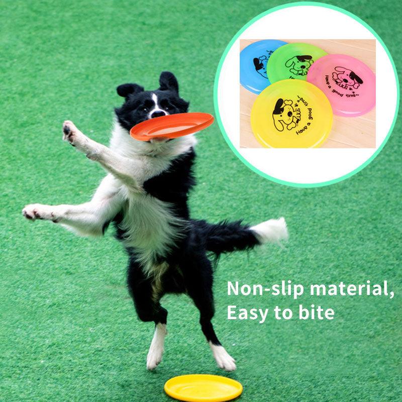 Plastic Cartoon Throw and Catch Flying Disc