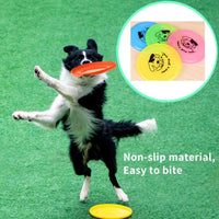 Plastic Cartoon Throw and Catch Flying Disc
