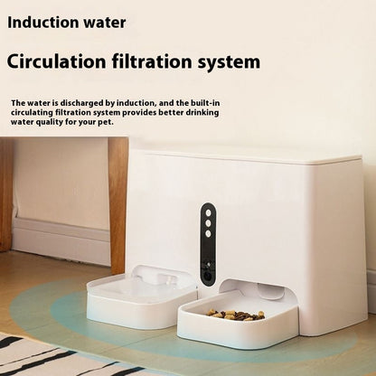 Pet Intelligent Feeding And Drinking All-in-one Machine