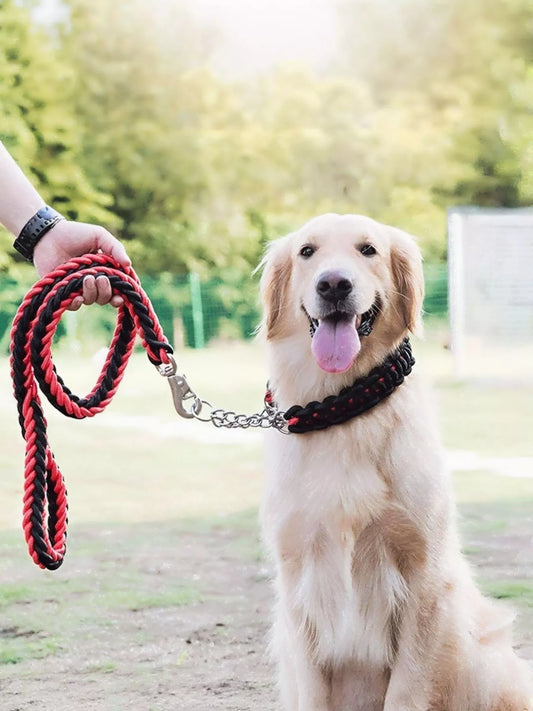 2 Piece Braided Rope Pet Leash with Metal Clasp