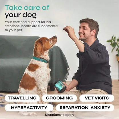 Calming Chews For Anxiety