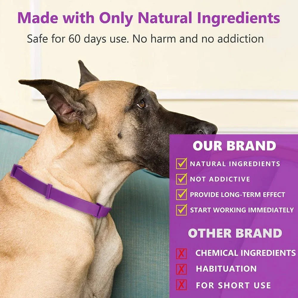 Purrfect Pet Kingdom stress relief pet collar designed for anxiety reduction in dogs with natural ingredients