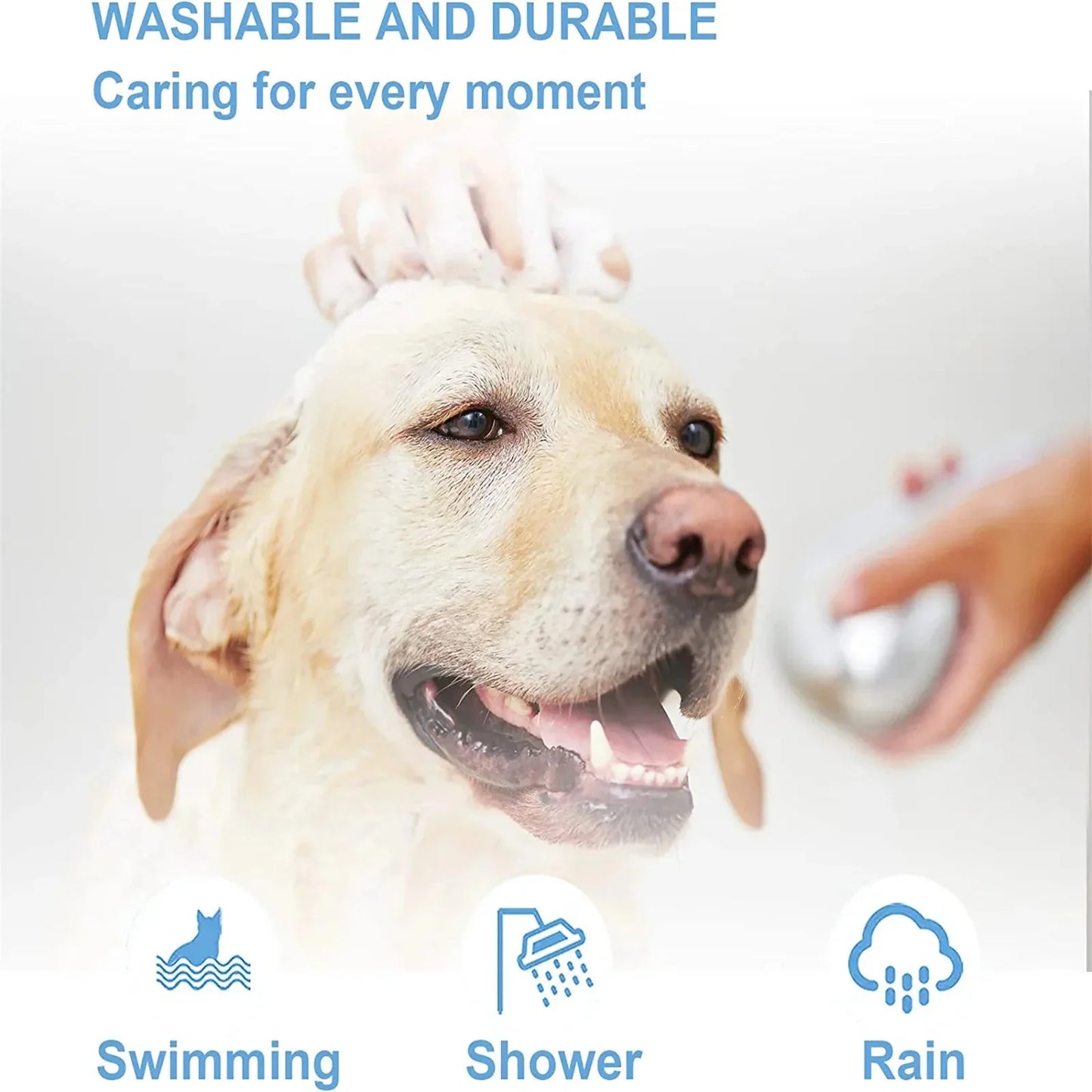 Happy Labrador wearing a stress relief pet collar, suitable for swimming, shower, and rain