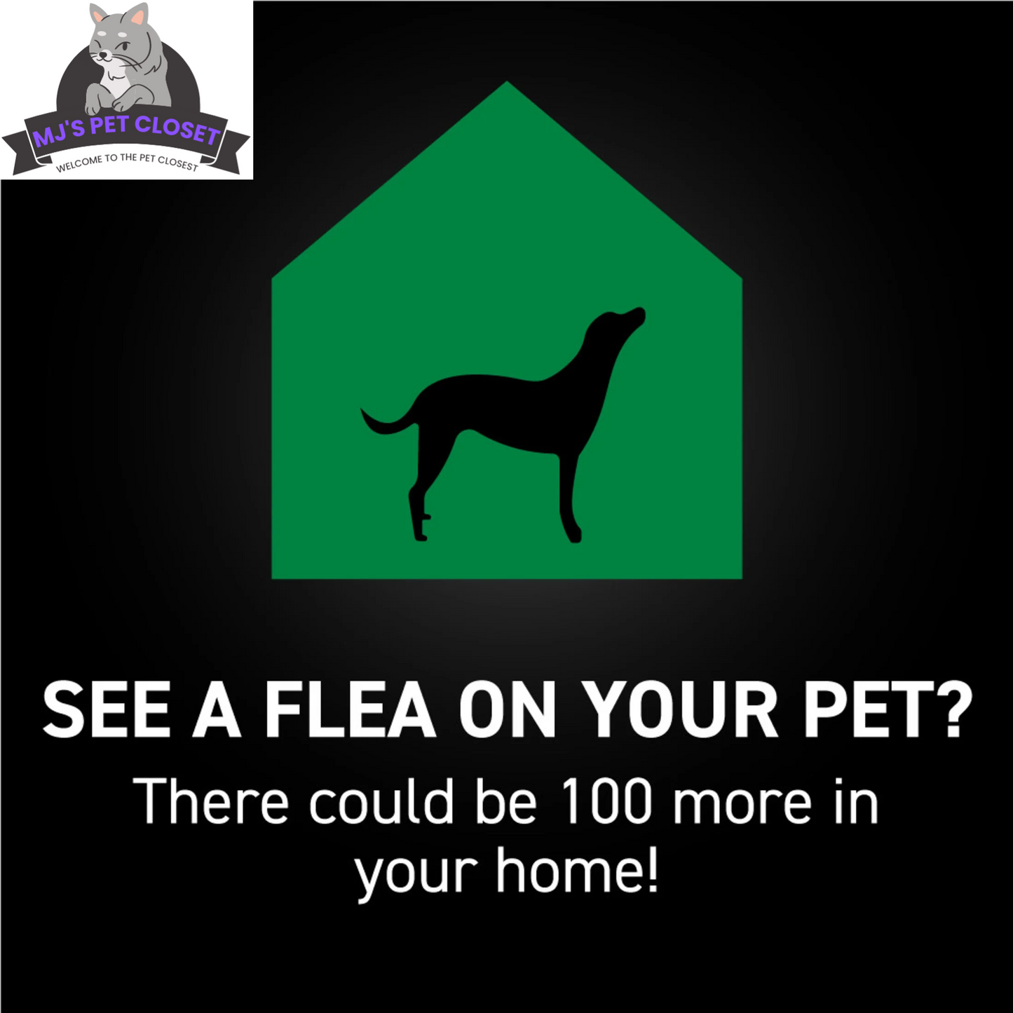 Best flea medicine for dogs 45-88 lbs by Purrfect Pet Kingdom for effective flea control