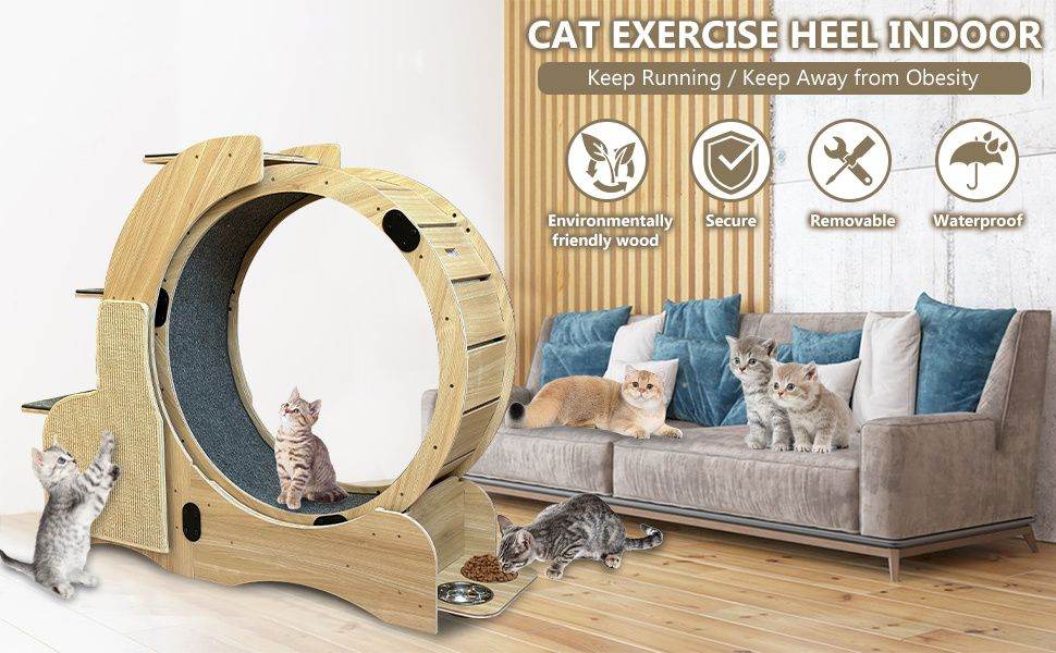 Purrfect Pet Kingdom Cat Activity Wheel with Scratcher Purrfect Pet Kingdom