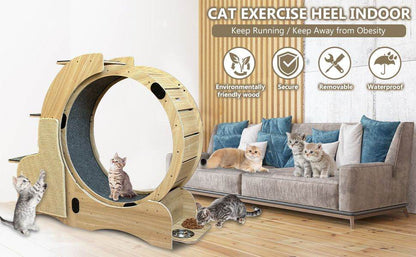 Purrfect Pet Kingdom Cat Activity Wheel with Scratcher Purrfect Pet Kingdom