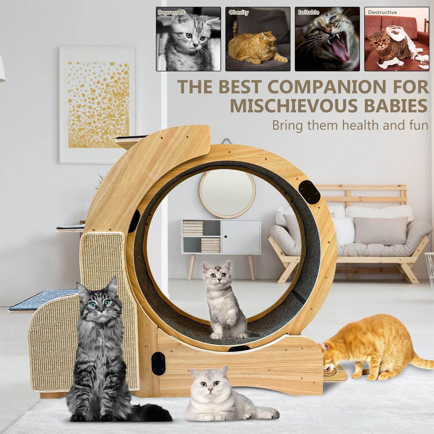 Purrfect Pet Kingdom Cat Activity Wheel with Scratcher Purrfect Pet Kingdom