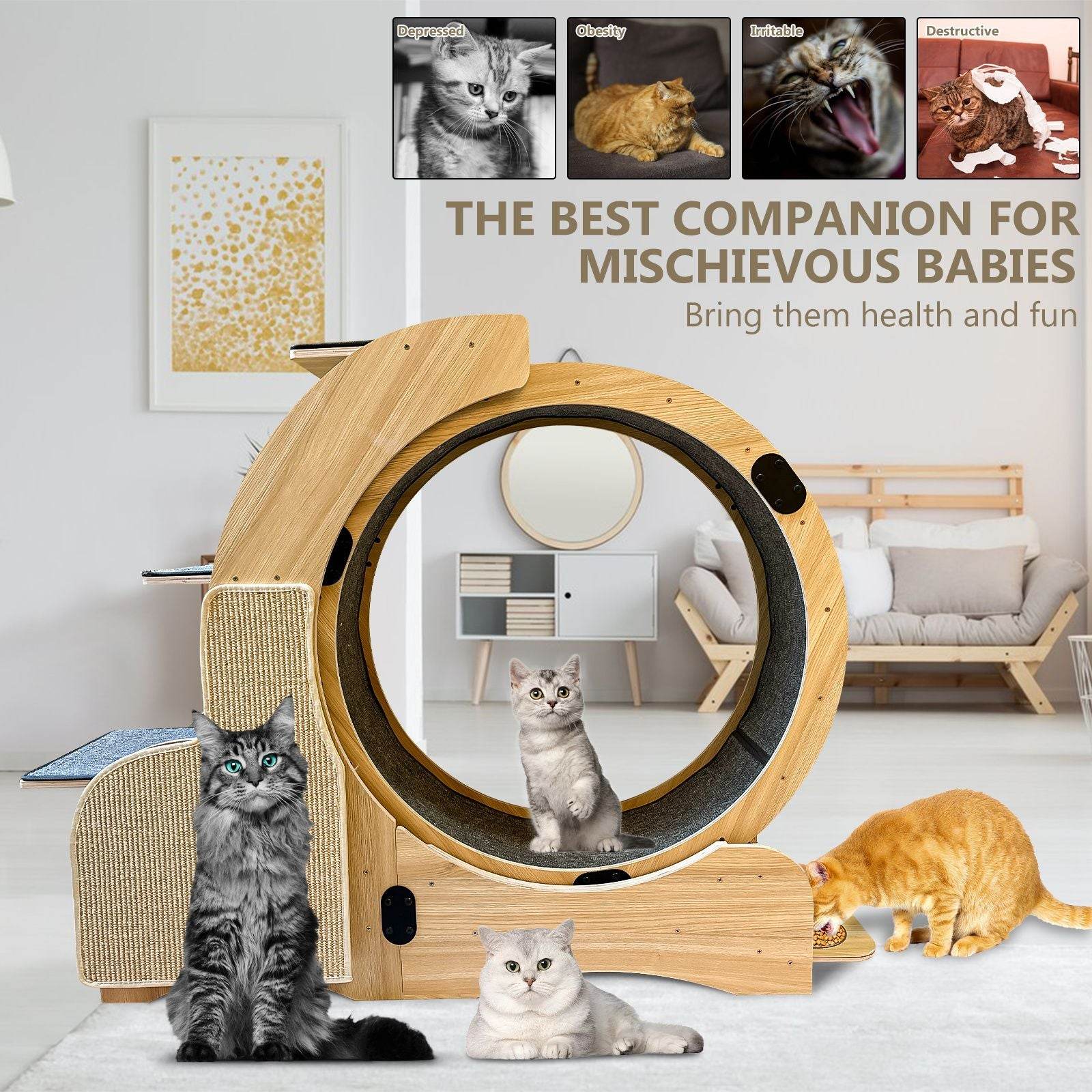 Purrfect Pet Kingdom Cat Activity Wheel with Scratcher Purrfect Pet Kingdom