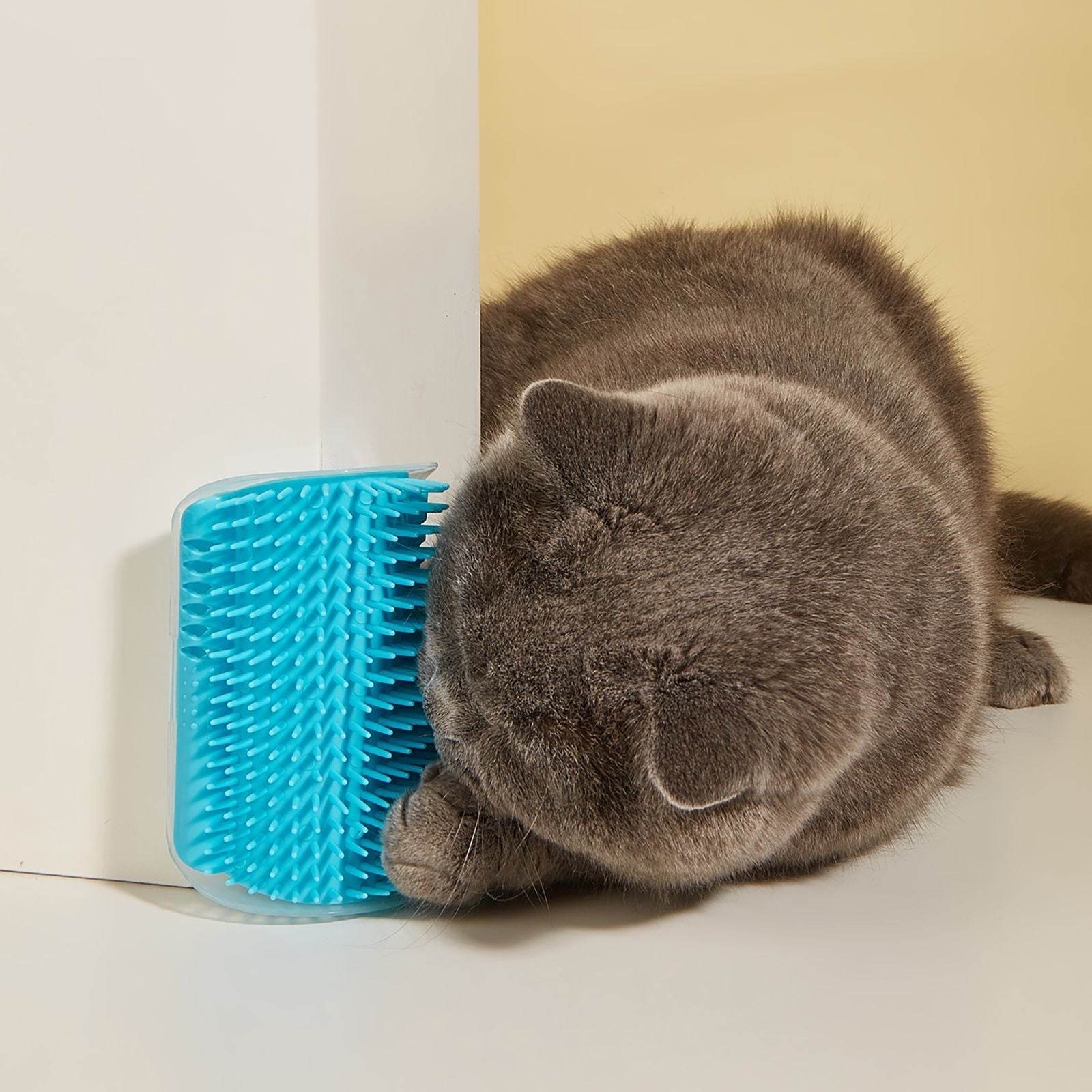 Purrfect Pet Kingdom Cat Wall Massage Brush for Grooming Purrfect Pet Kingdom