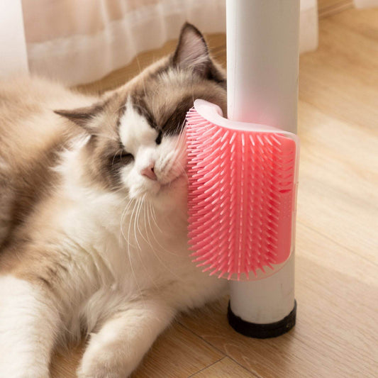 Purrfect Pet Kingdom Cat Wall Massage Brush for Grooming Blue Purrfect Pet Kingdom