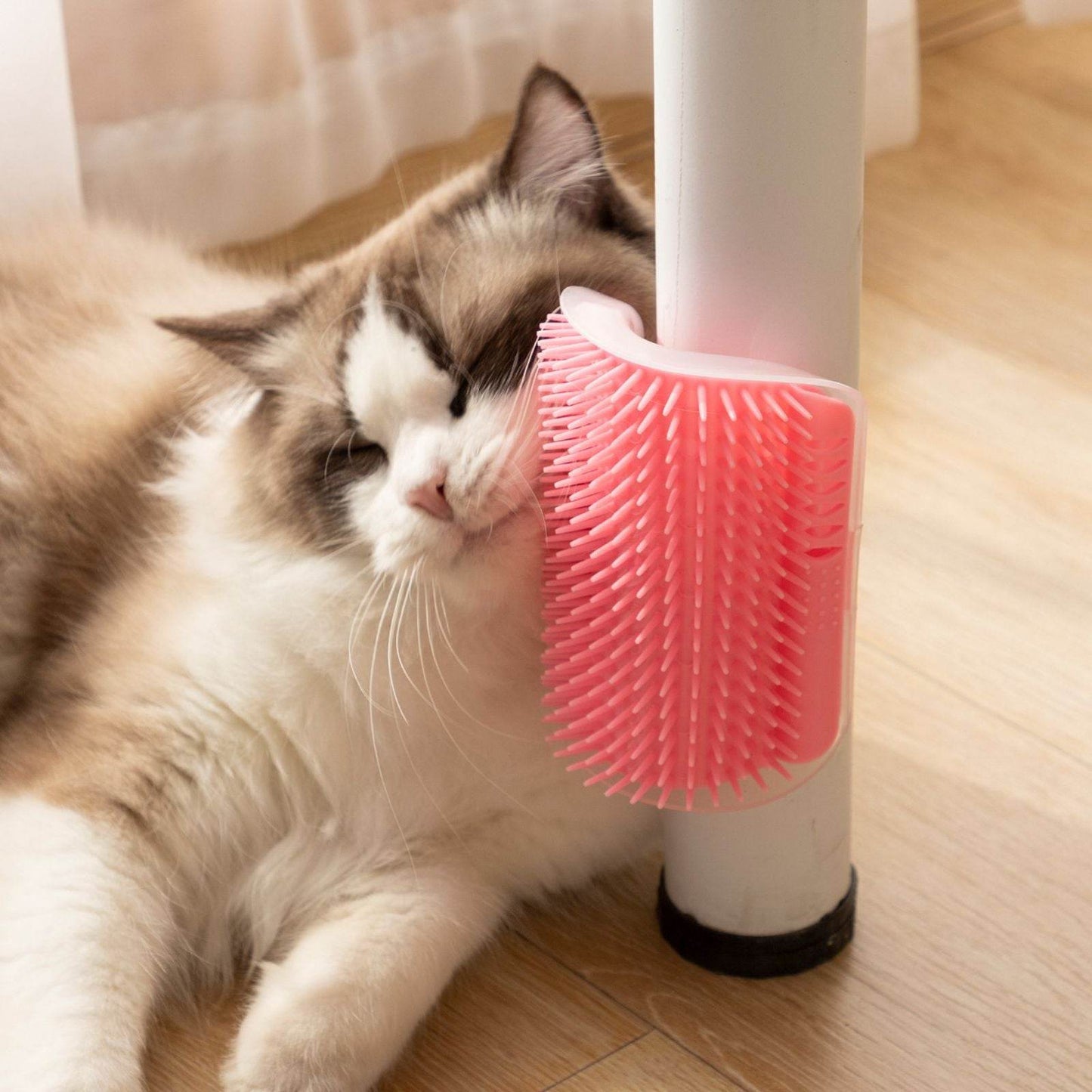 Purrfect Pet Kingdom Cat Wall Massage Brush for Grooming Grey Purrfect Pet Kingdom