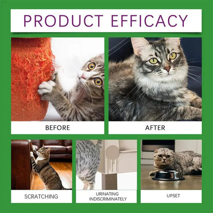 Cat Calming Diffuser Kit