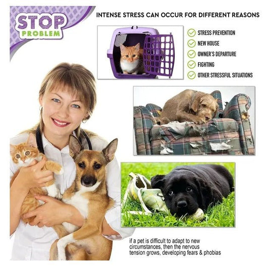 Cat Calming Diffuser - Purrfect Pet Kingdom