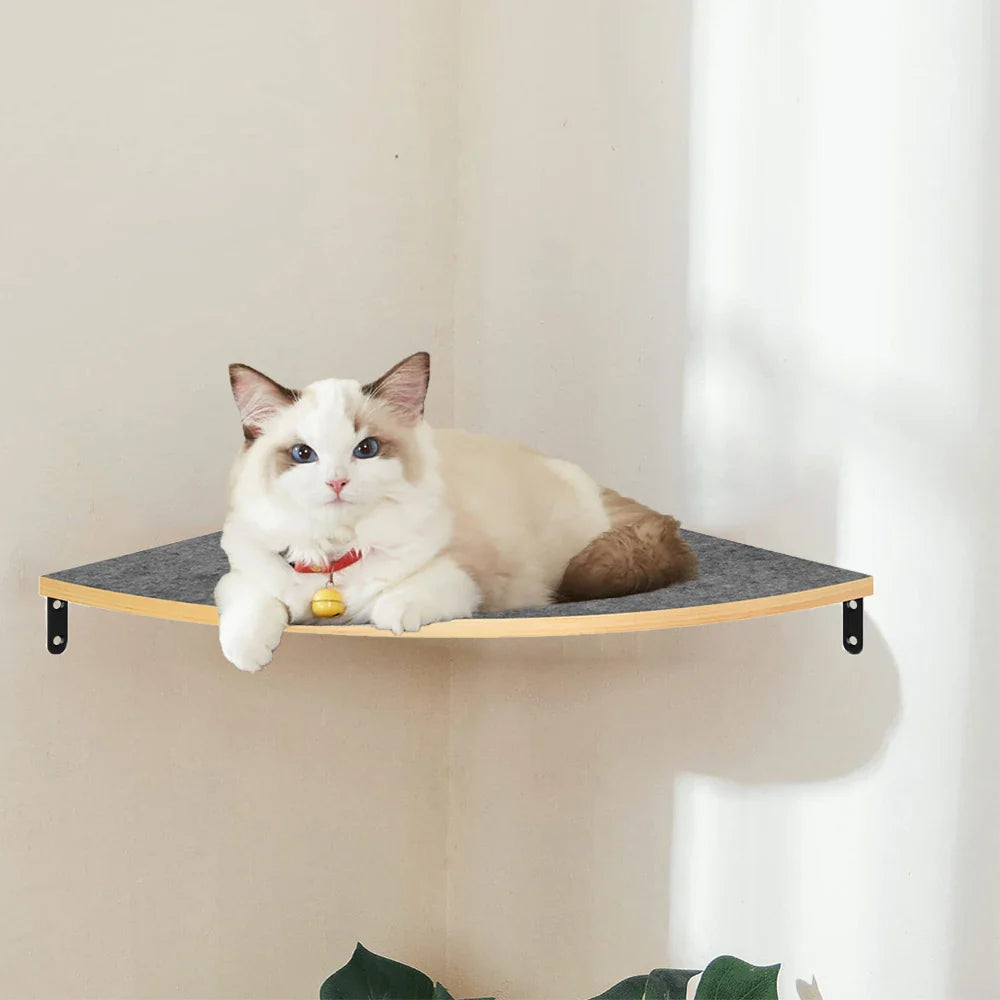 Tail Chasers Cat Climbing Shelves for Wall with plush surface for pet comfort and easy installation