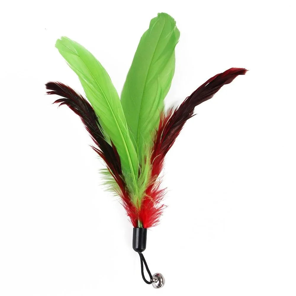 Stevvex Cat Feather Toy Set featuring a retractable wand with colorful feathers, perfect for indoor play and exercise for ...