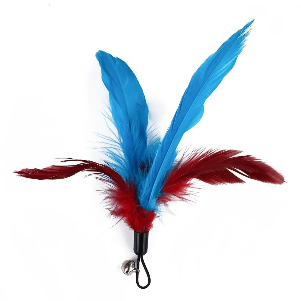 Cat Feather Toy Set by Stevvex, featuring a colorful feather teaser wand, perfect for kittens and cats, priced at $29.90.