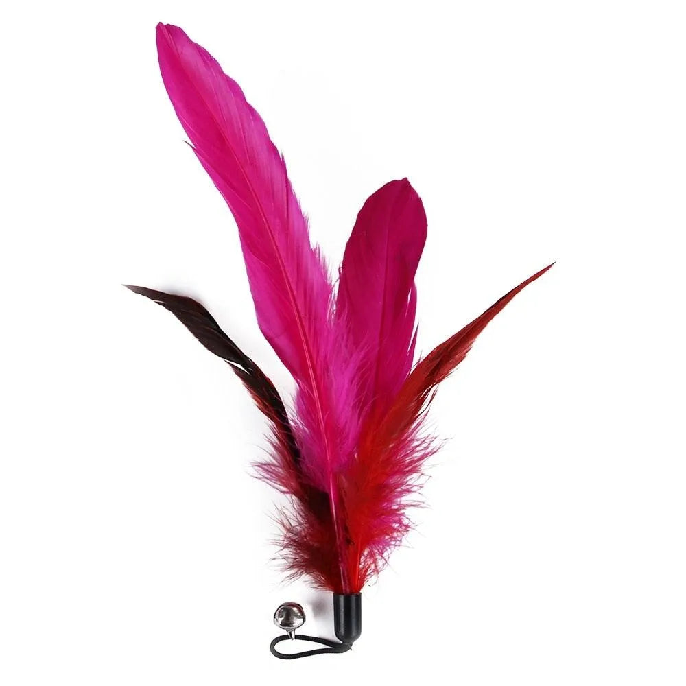 Stevvex Cat Feather Toy Set featuring a colorful feather teaser wand, perfect for kittens and cats, priced at $29.90.