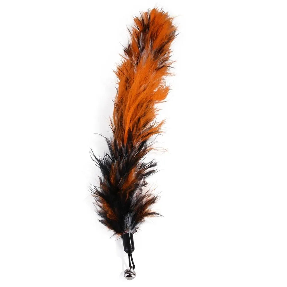 Stevvex Cat Feather Toy Set featuring a colorful feather teaser wand, perfect for kittens and cats, priced at $29.90.