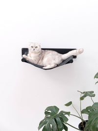 Cat Wall Hammock