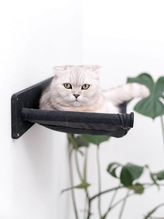 Cat Wall Hammock
