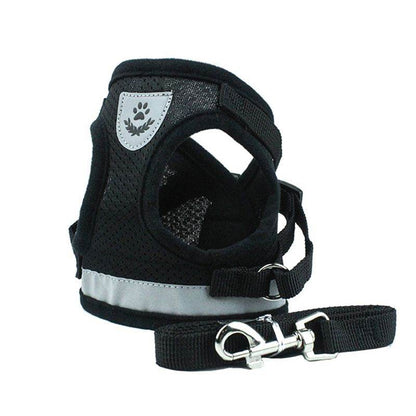 Purrfect Pet Kingdom Cat Harness and Leash Set, Adjustable No-Pull Purrfect Pet Kingdom