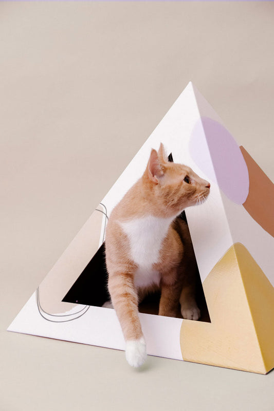 Cat hideaway cardboard pyramid in colorful design with a cat peeking out from inside