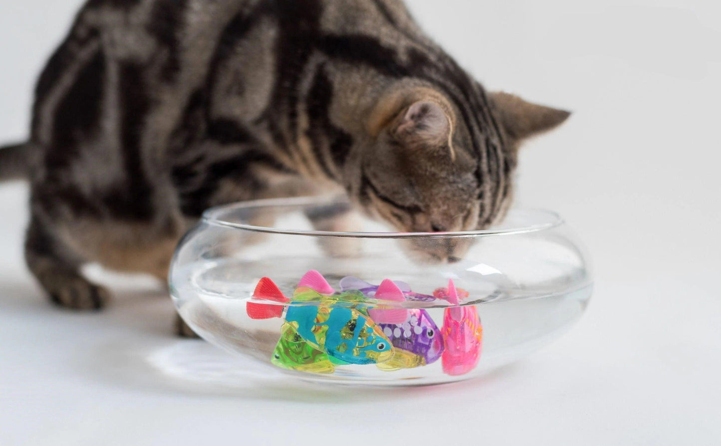 Cat Toy Interactive Electric Fish Flopping Water Toy
