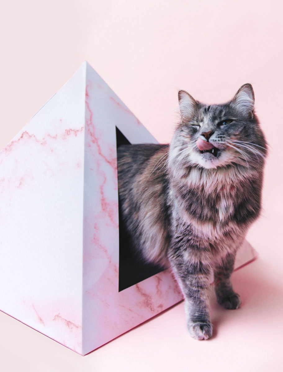 'Rose Quartz' Cardboard Cat Pyramid - KittyKardboard