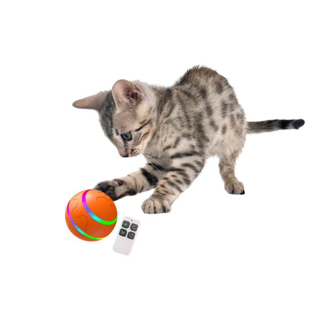 Purrfect Pet Kingdom Durable Chew Ball for Dogs with Remote Purrfect Pet Kingdom