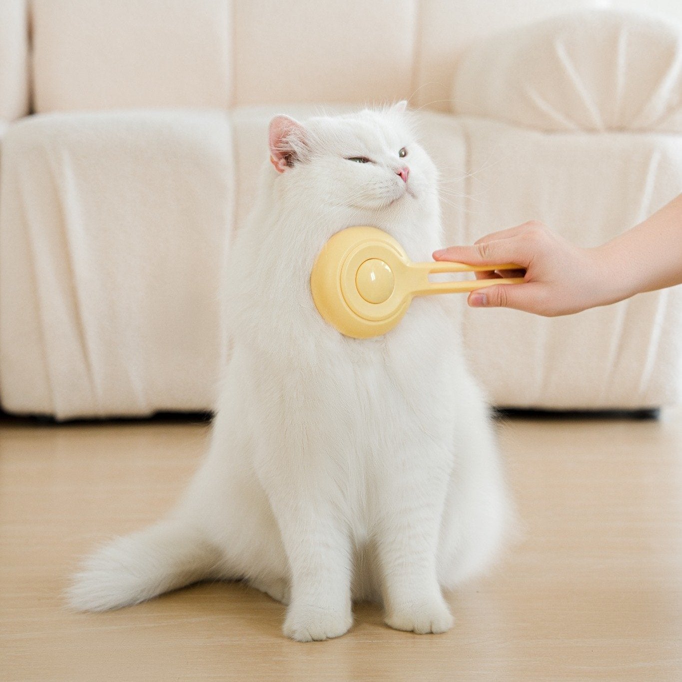 MangoPets cat press comb for shedding being used on a fluffy white cat at home