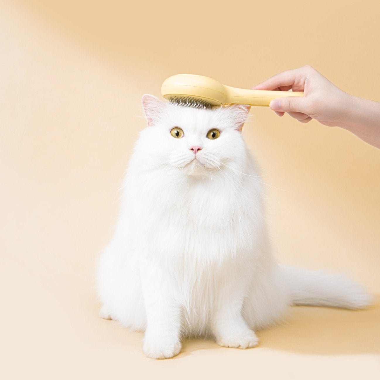 MangoPets cat press comb for shedding being used on a fluffy white cat