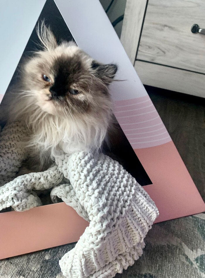 Fluffy cat relaxing inside the KittyKardboard cat pyramid hideaway eco safe with cozy blanket