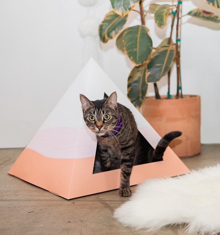 KittyKardboard cat pyramid hideaway eco safe for playful cats with a modern design