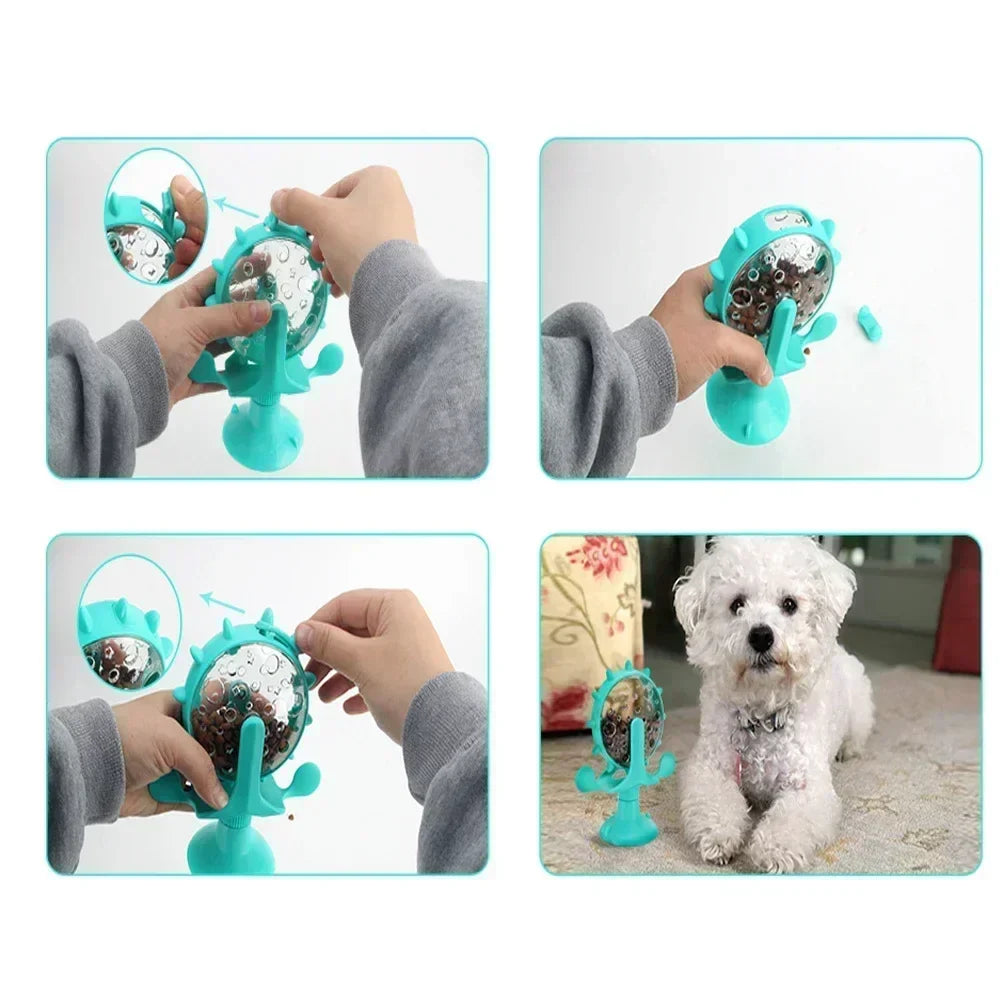 Tail Chasers interactive cat training ball with treats designed for engaging playtime and skill development